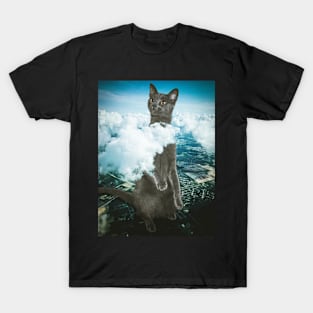 Curious Cat T-Shirt